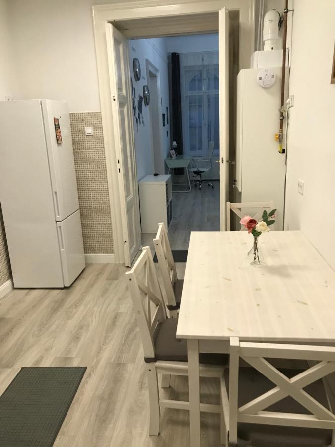 Perfect Location,Newly Decorated Modern, Large Place 60 M2, Really Quiet So You Can Have A Good Night Sleep, Ac, Netflix, Smart Tv, High-Speed Internet, World Famous New York Cafe Only 10 Minutes Walk Budapeste Exterior foto
